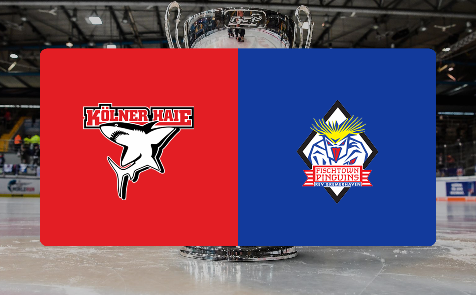 Backstage Kölner Haie – Pinguins Bremerhaven am 26.12.2025 – VIP-Ticket Backstage Kölner Haie – Pinguins Bremerhaven am 26.12.2025 – VIP-Ticket