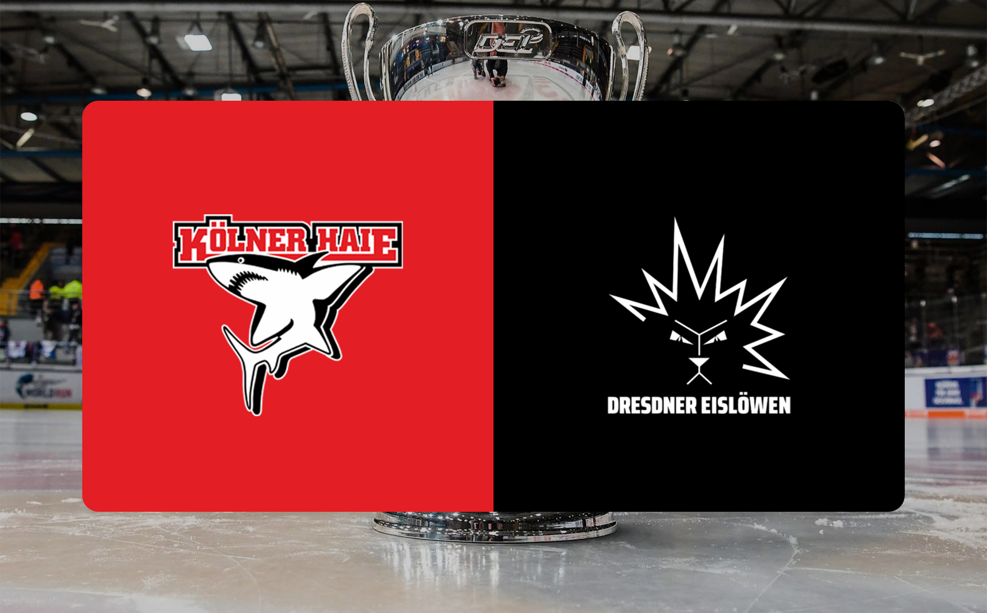 Backstage Kölner Haie – Dresdner Eislöwen am 16.11.2025 – VIP-Ticket Backstage Kölner Haie – Dresdner Eislöwen am 16.11.2025 – VIP-Ticket
