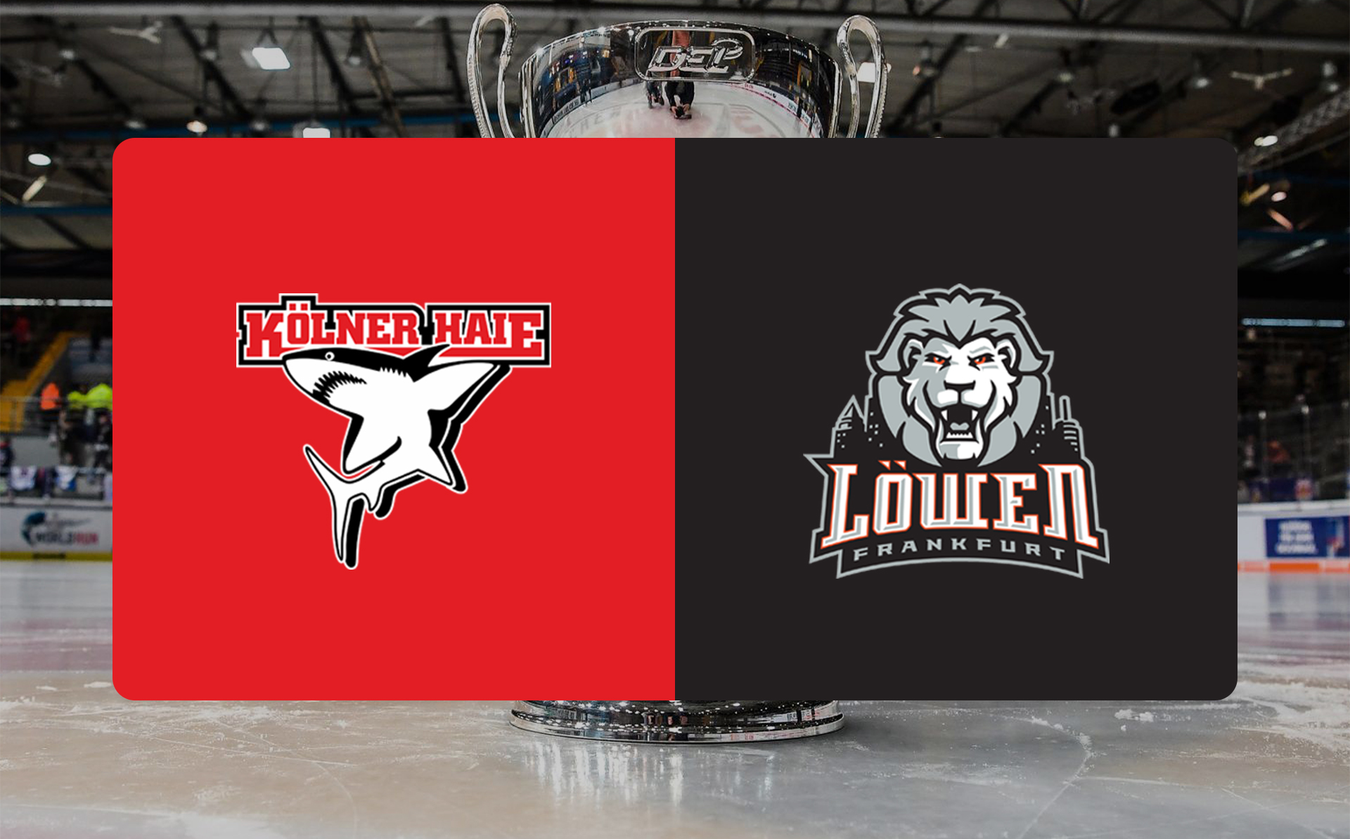 Backstage Kölner Haie – Löwen Frankfurt am 27.01.2026 – VIP-Ticket Backstage Kölner Haie – Löwen Frankfurt am 27.01.2026 – VIP-Ticket